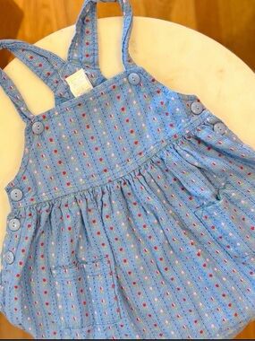 2t Vtg Rosebud Denim Dress Baby Togs